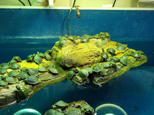 Pet Store «Incredible Pets Inc», reviews and photos, 2255 N Wickham Rd # 102, Melbourne, FL 32935, USA