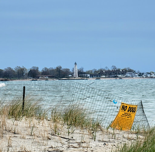 Park «Morse Park», reviews and photos, Morse Ave, West Haven, CT 06516, USA