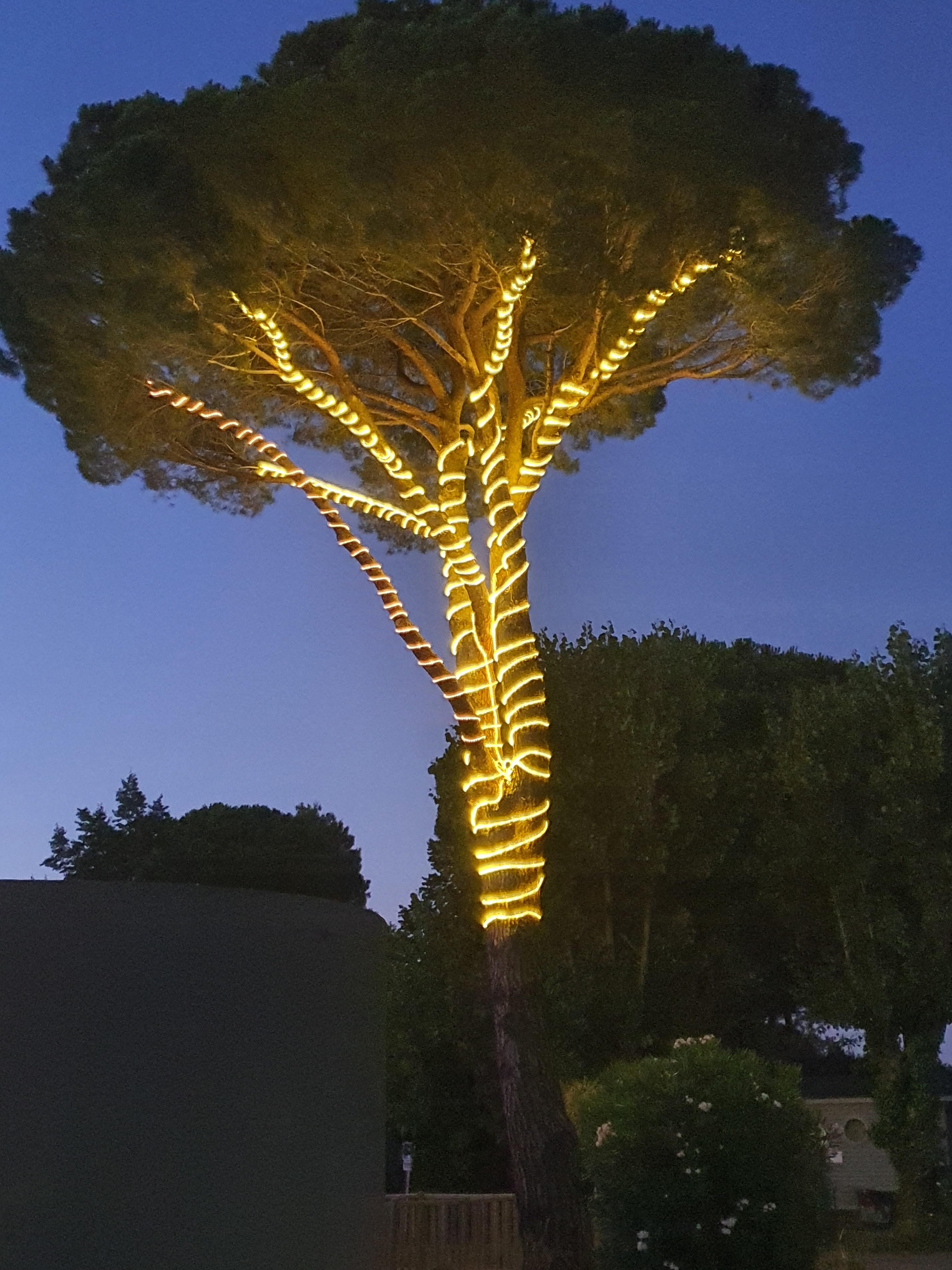 Photo n° 1 de l'avis de Jeremy.a fait le 14/07/2022 à 18:07