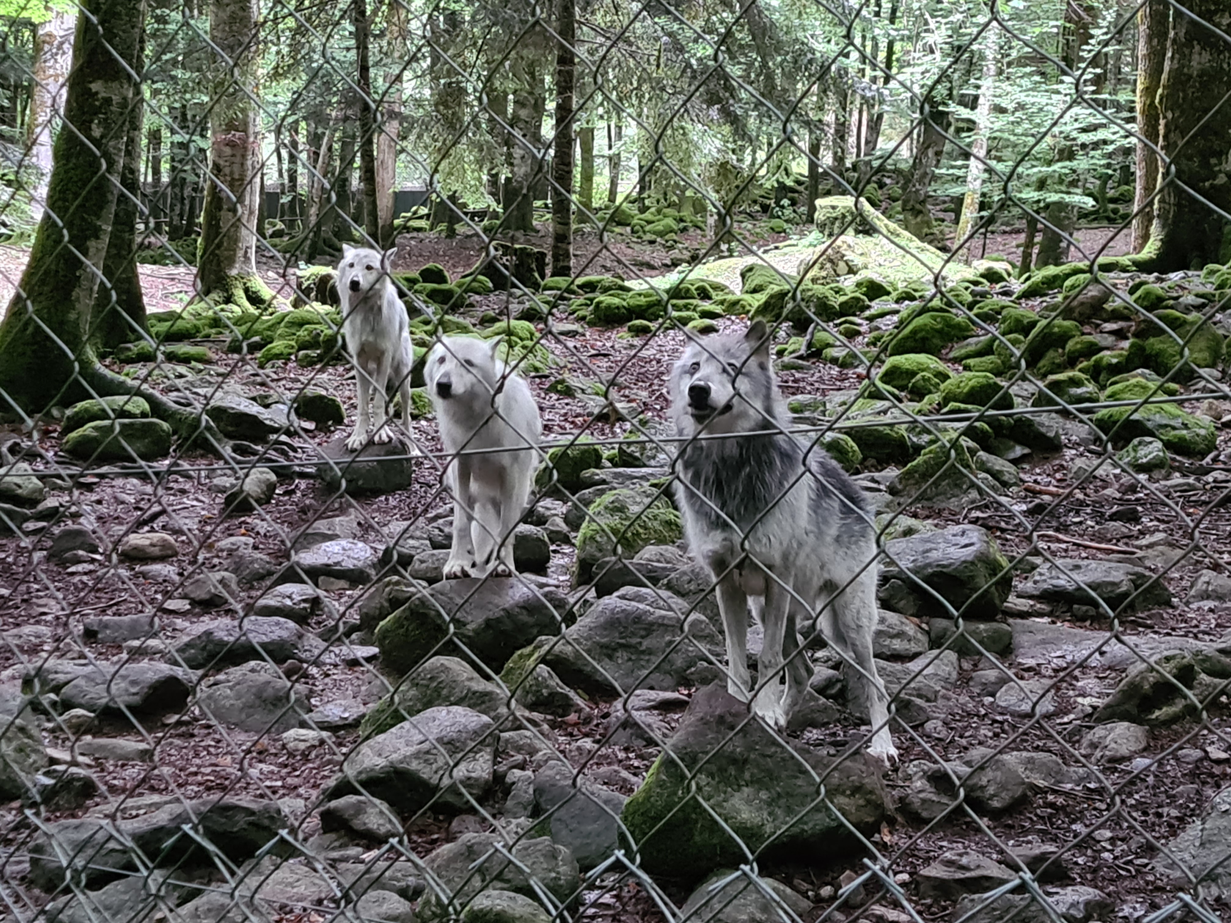 Photo n° 3 de l'avis de Aurélien.r fait le 10/08/2022 à 22:43