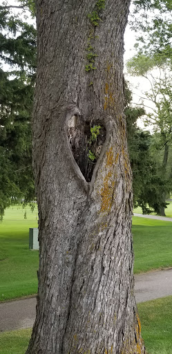 Golf Course «Berrien Hills Golf Club», reviews and photos, 690 W Napier Ave, Benton Harbor, MI 49022, USA