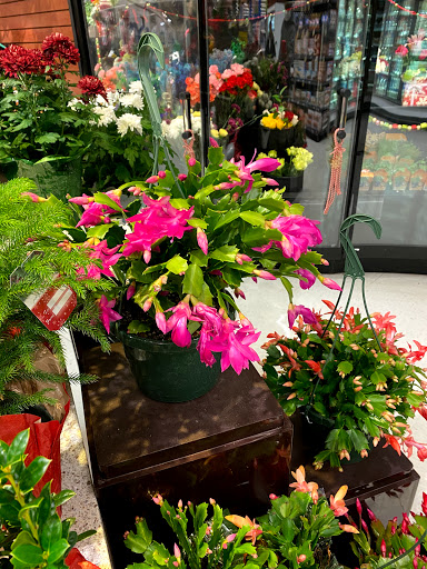 Supermarket «Price Chopper», reviews and photos, 10 Glenwood Ave, Binghamton, NY 13905, USA