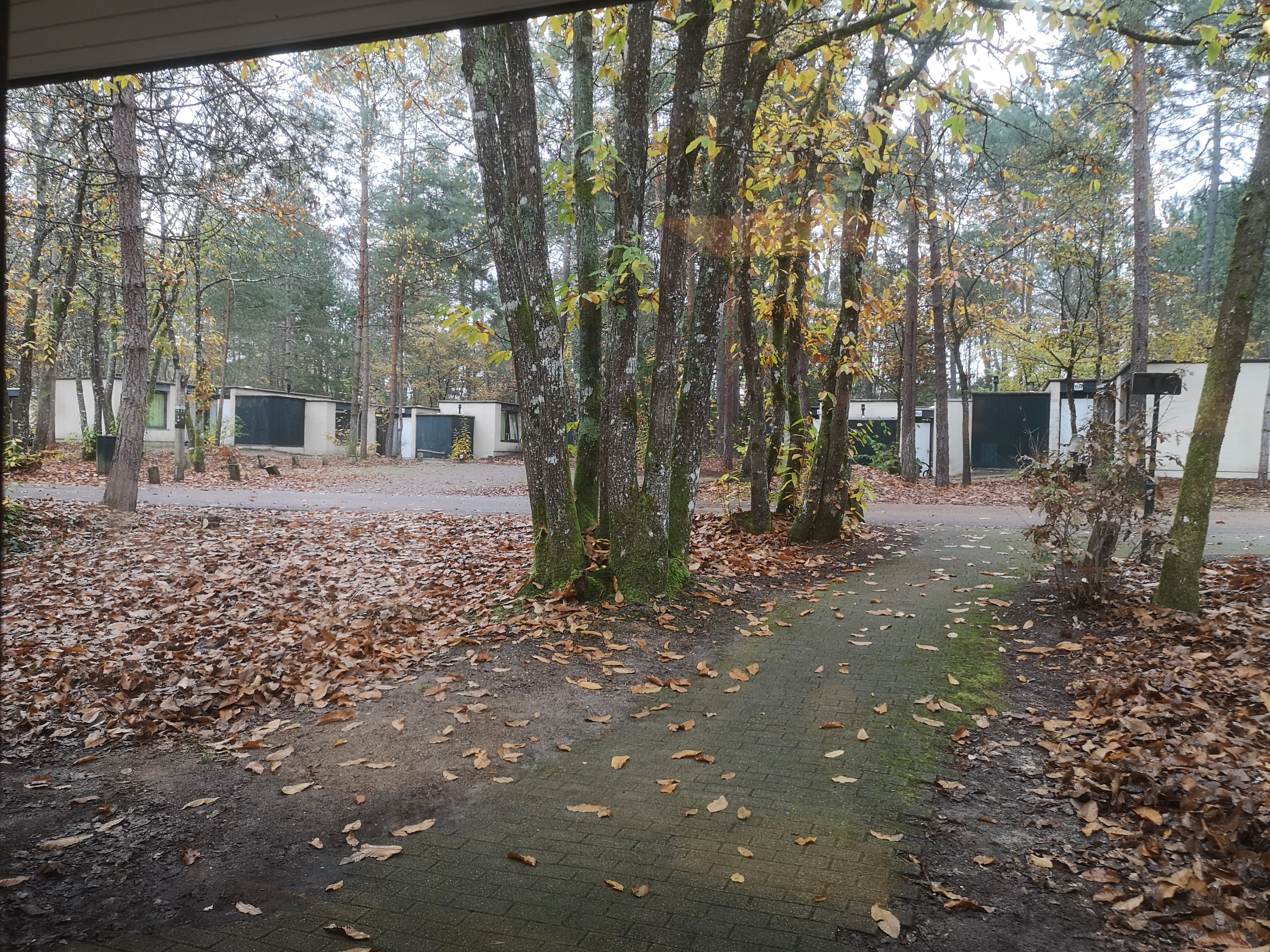 Photo n° 2 de l'avis de Manuela.o fait le 27/11/2021 à 19:44