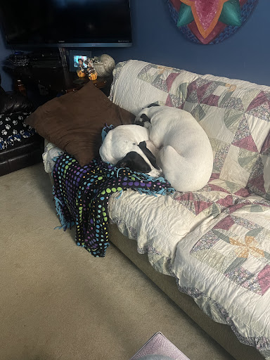 Non-Profit Organization «Goodwill Retail Store and Donation Center», reviews and photos