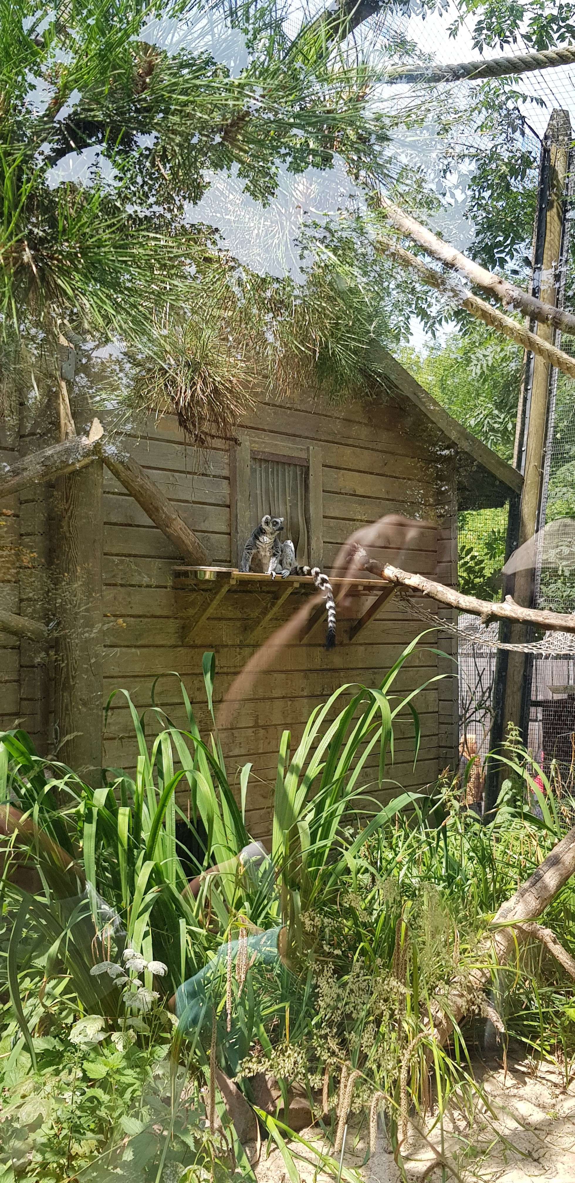 Photo n° 35 de l'avis de Nuk3d.t fait le 13/10/2019 à 18:58