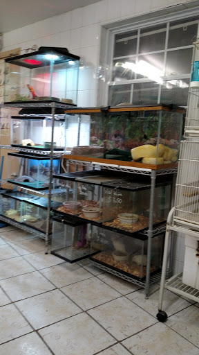 Tropical Fish Store «Ironbound Pet Shop», reviews and photos, 246 Ferry St # 5, Newark, NJ 07105, USA