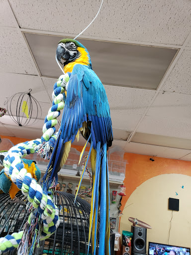 Pet Store «Louis Birds Pets & Supplies», reviews and photos, 80 Keyes St, San Jose, CA 95122, USA