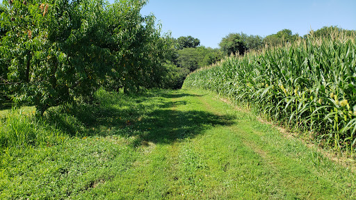 Braeutigam Orchards