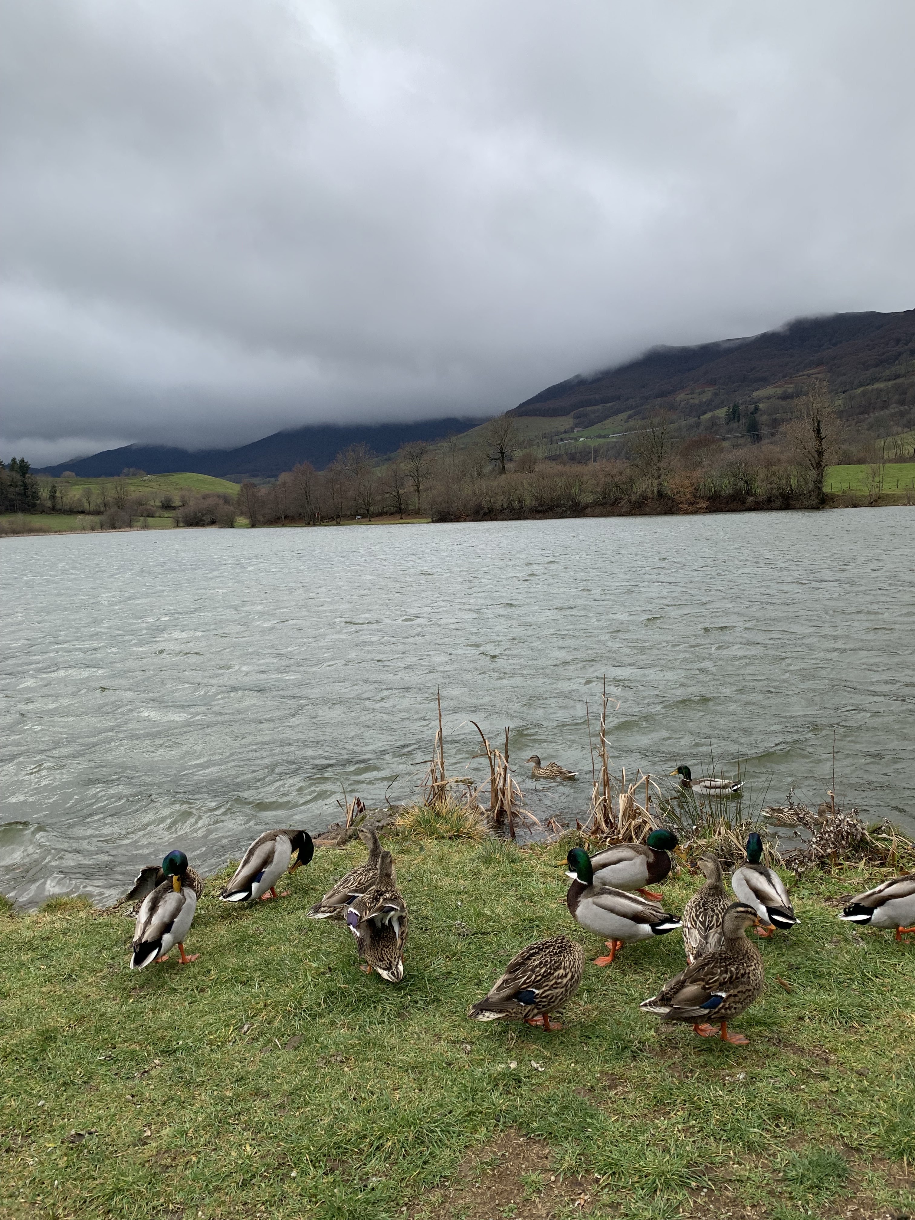 Photo n° 2 de l'avis de Auvergnates.n fait le 21/02/2023 à 12:38