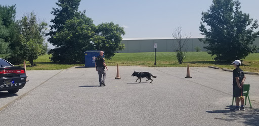 Event Planner «Leaping Lizards, LLC», reviews and photos, 56 Artisan Dr, Smyrna, DE 19977, USA