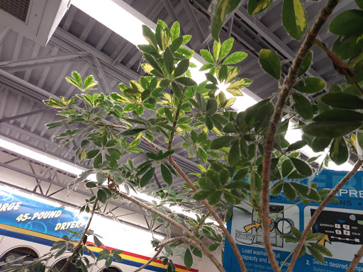 Laundromat «Soaps-N-Suds Laundrymat», reviews and photos, 3600 Holland Road, Virginia Beach, VA 23452, USA