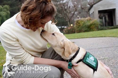 Training School «Guide Dogs For The Blind Inc», reviews and photos