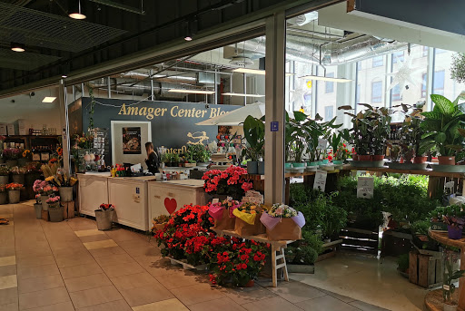 Amager Center Blomst