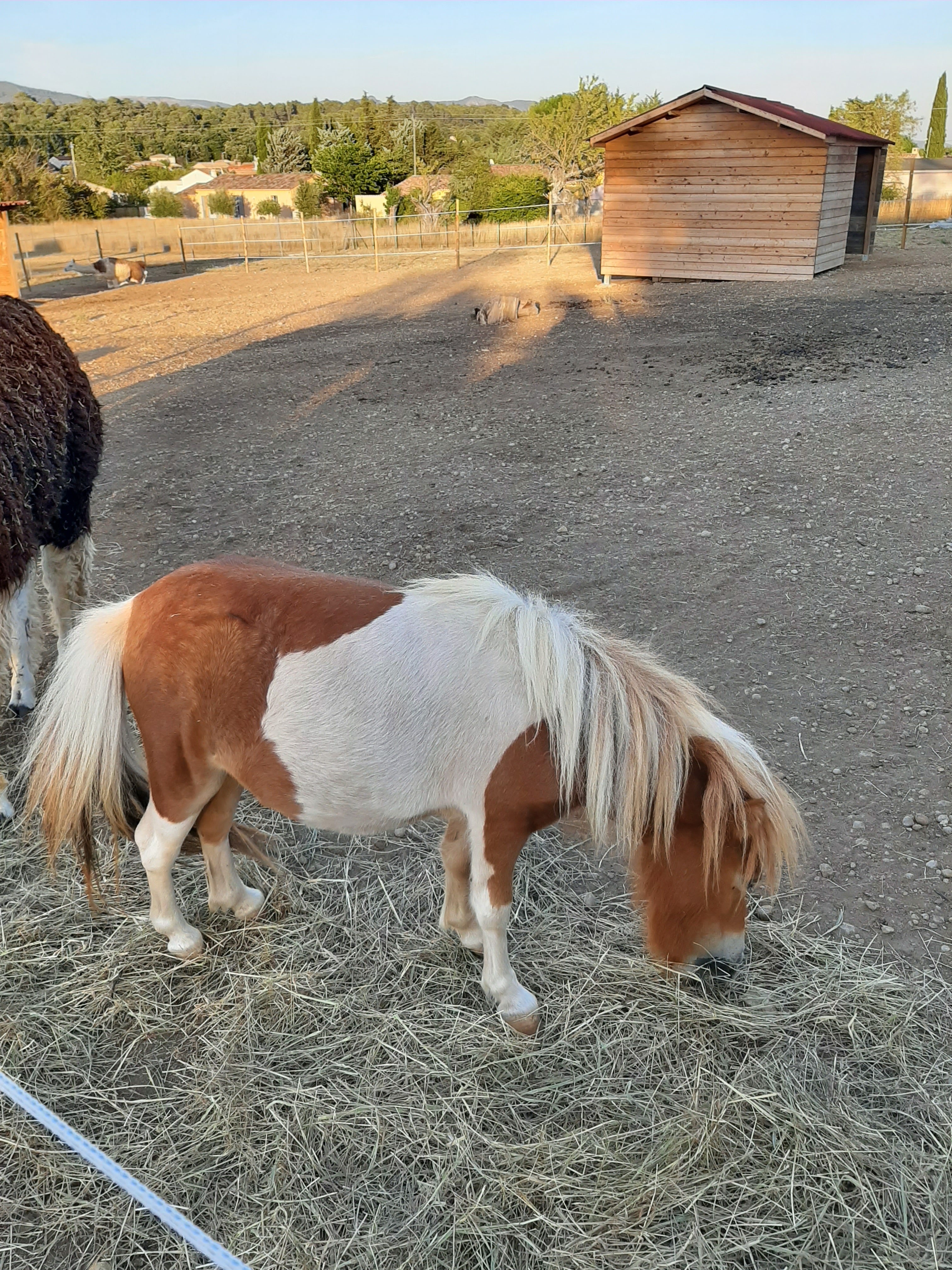Photo n° 6 de l'avis de Jessica.e fait le 18/08/2019 à 21:07