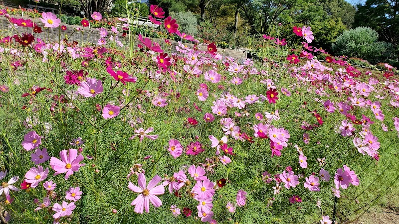 和歌山県植物公園 緑花センター 和歌山県岩出市東坂本 植物園 グルコミ