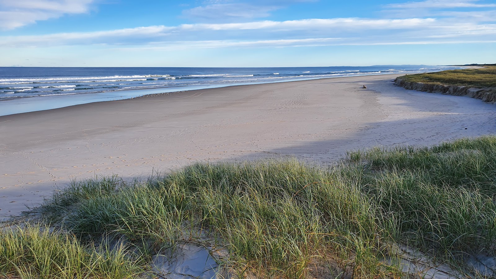 Foto di South Ballina Beach zona selvaggia