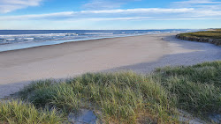 Foto di South Ballina Beach zona selvaggia