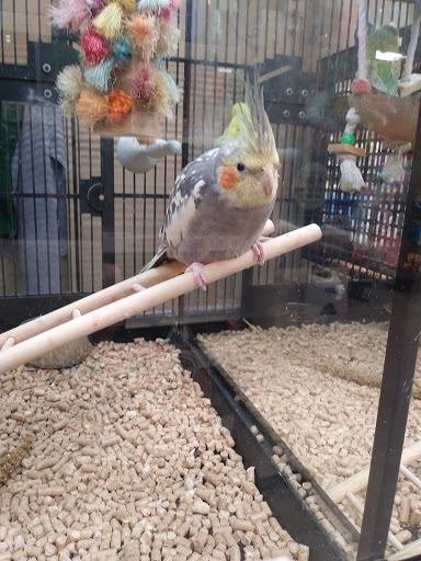 Pet Supply Store «PetSmart», reviews and photos, 300 NJ-18, East Brunswick, NJ 08816, USA