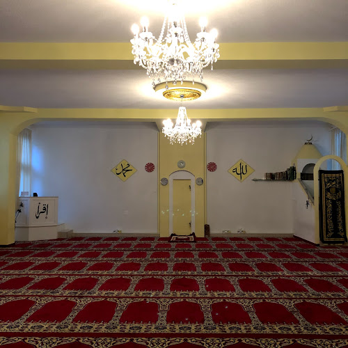 Rezensionen über Moschee Ikre Thun in Thun - Kulturzentrum