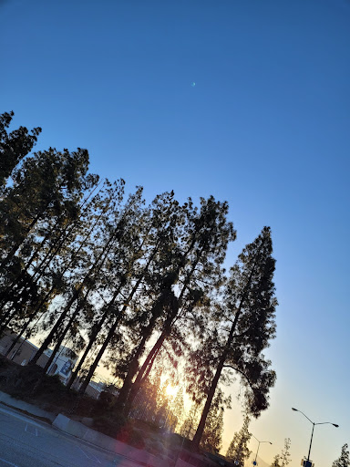 Shopping Mall «Carousel Mall», reviews and photos, 295 Carousel Mall, San Bernardino, CA 92401, USA