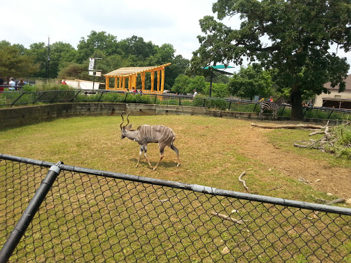 Amusement Park «Como Town», reviews and photos, 1301 Midway Pkwy, St Paul, MN 55103, USA