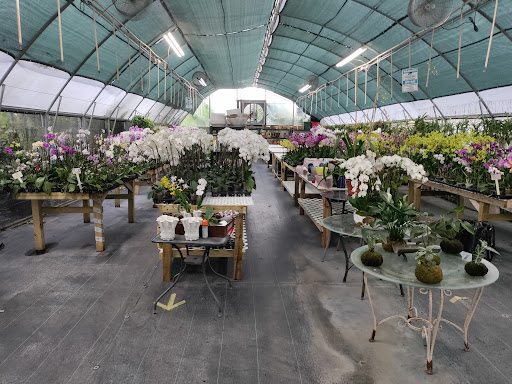 Landscape Designer «Santa Barbara Nursery», reviews and photos, 20425 SW 177th Ave, Miami, FL 33187, USA