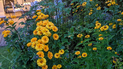 Cafe «Stonewall Kitchen Cafe», reviews and photos, 2 Stonewall Ln #1, York, ME 03909, USA