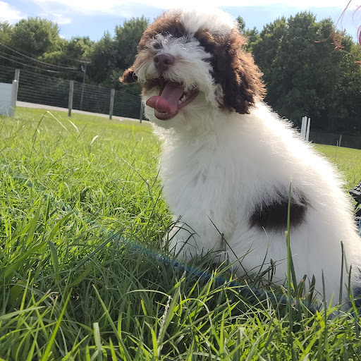 Pet Store «PV Pets», reviews and photos, 233 S Broadway, Pennsville, NJ 08070, USA