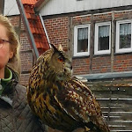 Photo n°6 de l'avis de Ralf.a fait le 23/03/2019 à 14:19 sur le  Burghotel - Am Inselsee - Zur Grenzburg à Güstrow