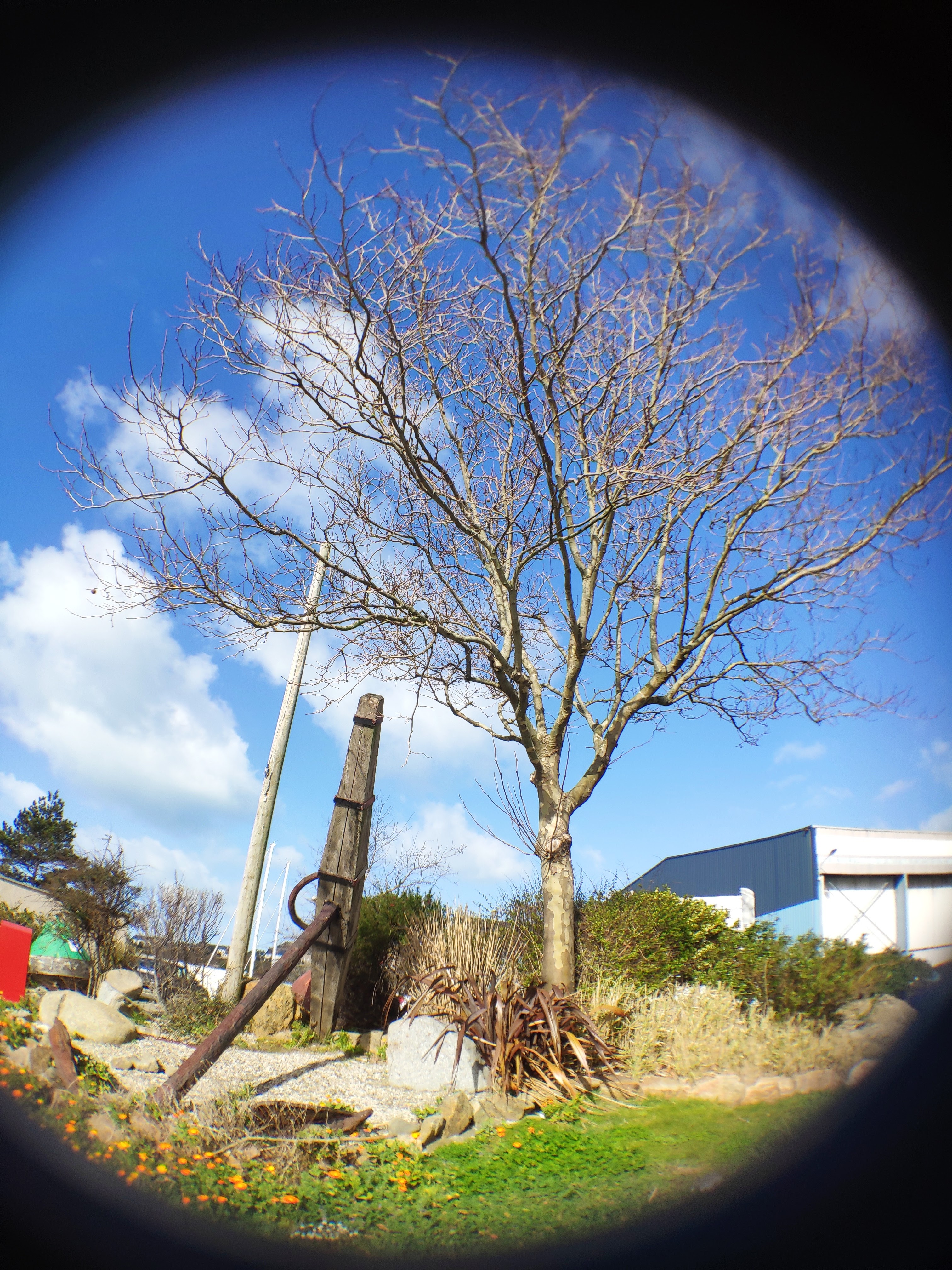 Photo n° 9 de l'avis de damien.e fait le 20/03/2019 à 10:21