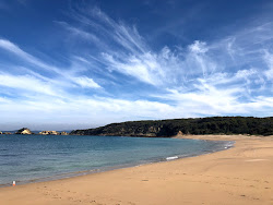 Zdjęcie North Head Beach z przestronna zatoka