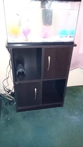 Pet Supply Store «PetSmart», reviews and photos, 150 Glynn Isle, Brunswick, GA 31525, USA