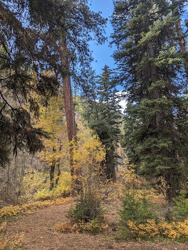 Centennial Grove Trailhead Day Use Area