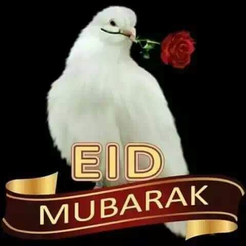 Shopping Mall «Global Mall», reviews and photos, 2210 Morse Rd # A1, Columbus, OH 43229, USA