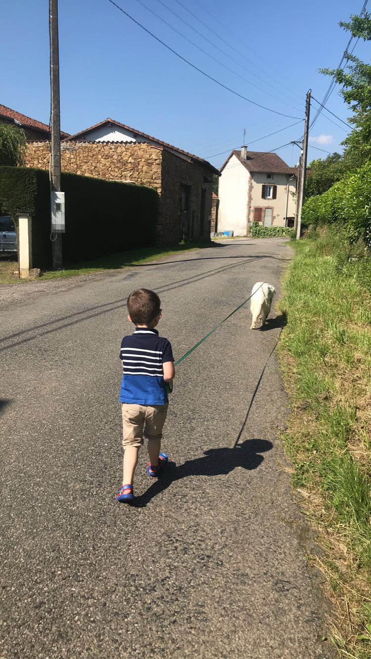 Photo n° 2 de l'avis de Ophélie.e fait le 21/08/2020 à 13:21