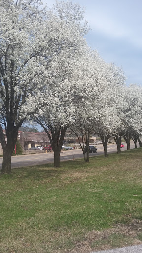 Auto Parts Store «Advance Auto Parts», reviews and photos, 11725 Dorsett Rd, Maryland Heights, MO 63043, USA