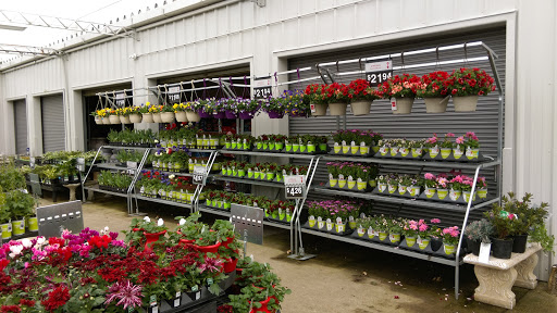 Discount Store «Walmart», reviews and photos, 321 NE Kings Valley Hwy, Dallas, OR 97338, USA