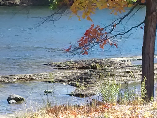 Tourist Attraction «Dinosaur Footprints», reviews and photos, US-5, Holyoke, MA 01040, USA