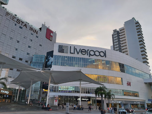 Guitar shops in Cancun