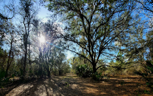 Orange Creek Restoration Area North Tract