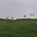 Photo n°13 de l'avis de Natascha.i fait le 06/08/2023 à 06:22 sur le  Villa-Meehr – Monty Kurtzke à Wusterhausen