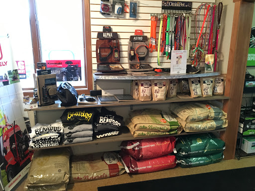 Kinni Sport and Power