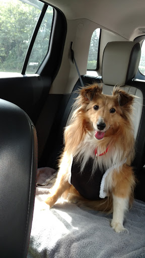 Pet Supply Store «Market Place Pet Supplies», reviews and photos, 7200 Dixie Hwy, Village of Clarkston, MI 48346, USA