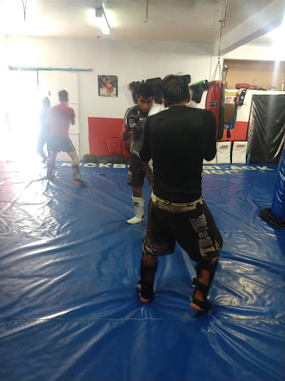 Ledo,s Team, Kick Boxing & MMA - Calle 3 Sur 110, Barrio del Centro, 75200 Del Centro, Pue., Mexico