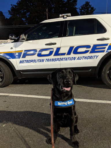 Shopping Mall «Golden Horseshoe Shopping Center», reviews and photos, 1088 Wilmot Rd, Scarsdale, NY 10583, USA