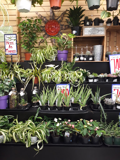 Supermarket «Rosauers Supermarkets», reviews and photos, 907 W 14th Ave, Spokane, WA 99204, USA