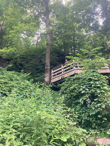 Tourist Attraction «Brandywine Gorge Trail», reviews and photos, 8176 Brandywine Rd, Sagamore Hills, OH 44067, USA