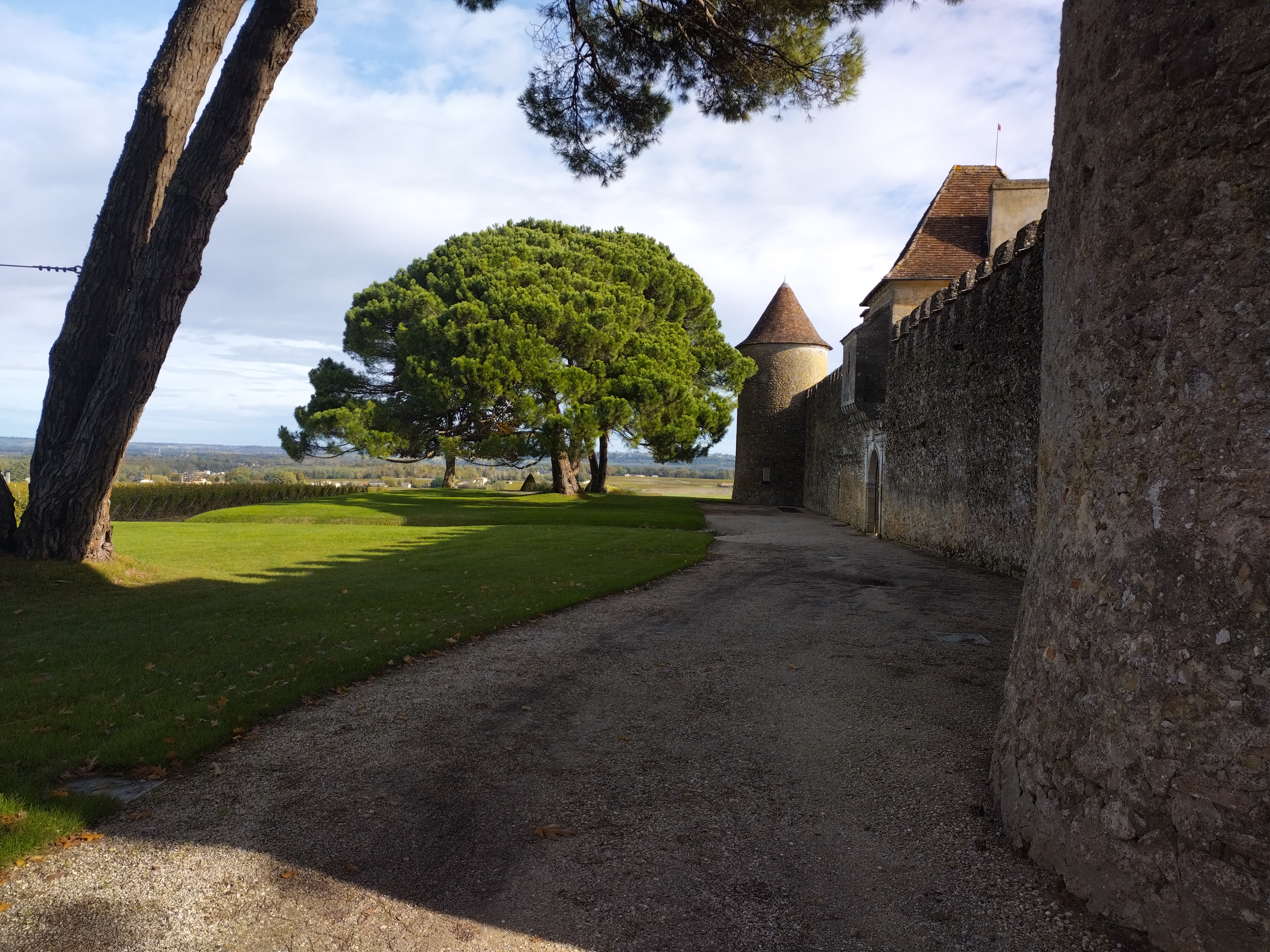 Photo n° 1 de l'avis de barthelemy.m fait le 02/11/2023 à 15:02