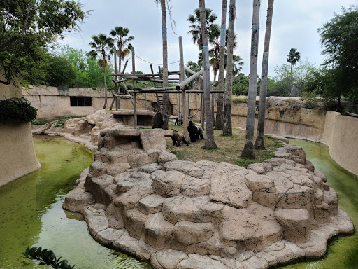 Zoo «Gladys Porter Zoo», reviews and photos, 500 E Ringgold St, Brownsville, TX 78520, USA