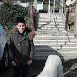 Photo n°1 de l'avis de Wall.4 fait le 04/01/2019 à 08:31 sur le  Agriturismo La Botte à Manoppello